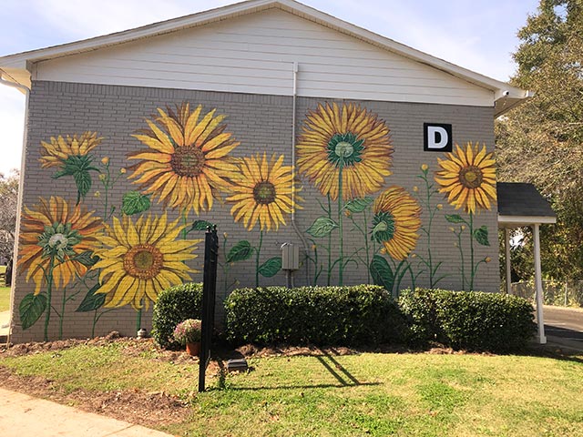 Springview Apartments Mural