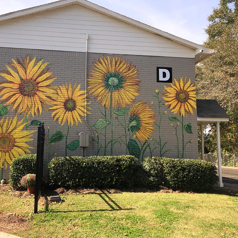 Springview Apartments Building Mural